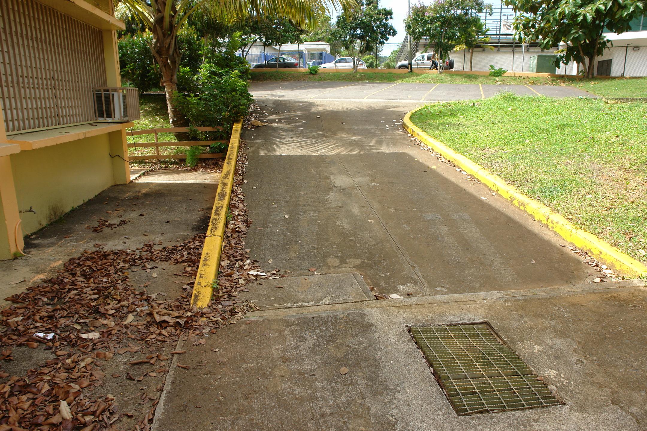 FDII - Aibonito - 2010 00026